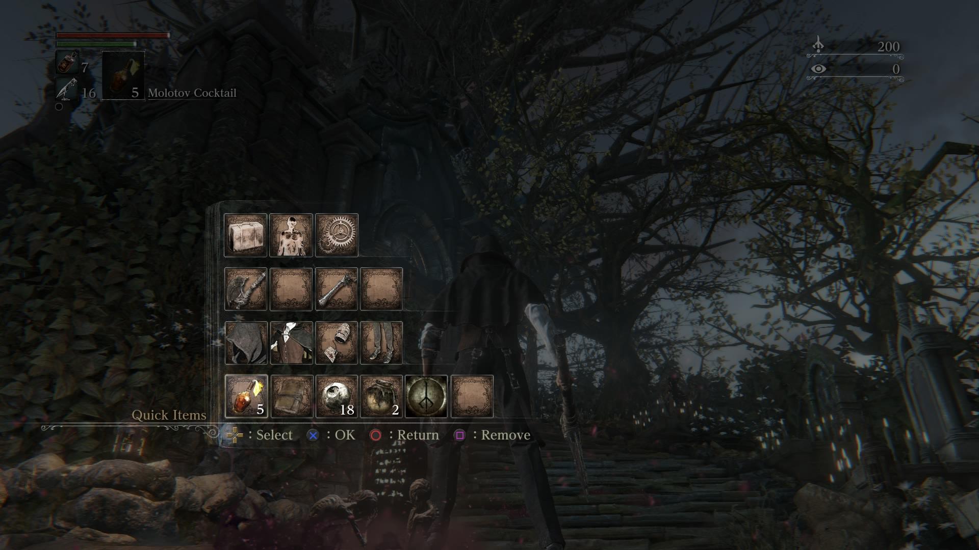 Bloodborne™_20150501113928
