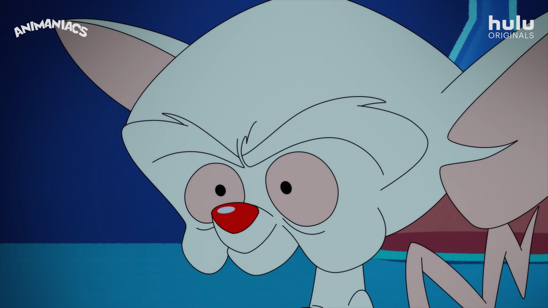 download animaniacs pinky and the brain 2020 download animaniacs pinky and the brain 2020